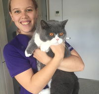 The Getaway Cattery - Suburb Australia