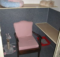 Hunter Pet Motel - Suburb Australia