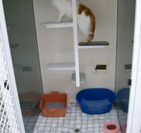 Catalina Cat Boarding - Suburb Australia
