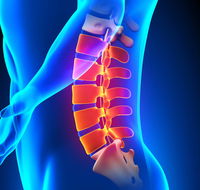 Earlville Chiropractic Clinic - Suburb Australia