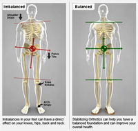 Trinity Family Chiropractic - Suburb Australia