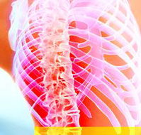 Beachside Chiropractic - Suburb Australia