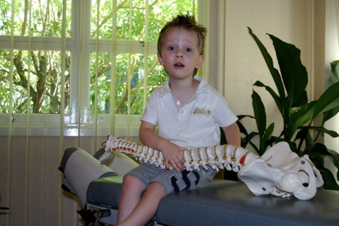 Dive Chiropractic Centre - Suburb Australia 4