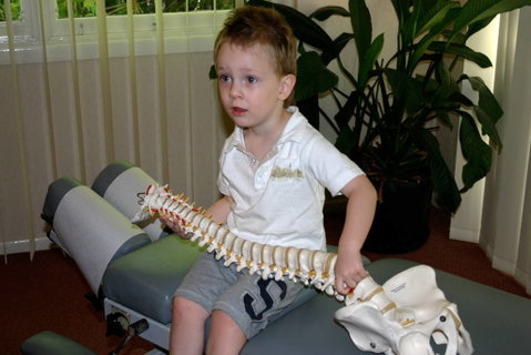 Dive Chiropractic Centre - Suburb Australia 5