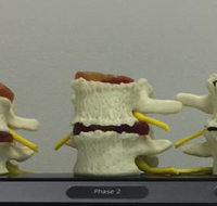 Bayside Family Chiropractic - Suburb Australia