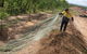 SGI Spray Grass Industries - thumb 2