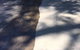 Barking Owl Professional Cleaning & Maintenance Services - thumb 1