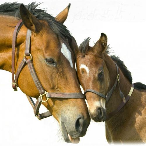 4x4 Equipment Accessories Kempsey NSW Suburb Australia