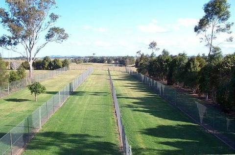 Pads ‘n’ Paws Pet Motel - Suburb Australia 0