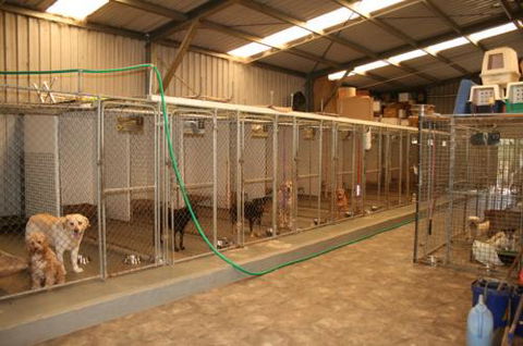 Pads ‘n’ Paws Pet Motel - Suburb Australia 1