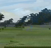 Melaleuca Golf Club - Suburb Australia