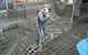 Concrete Spraying Services - thumb 0