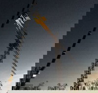 Sky Cranes - Suburb Australia