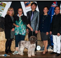 The Naked Hound Dog Grooming Salon - Suburb Australia