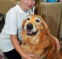 Eumundi Pet Grooming - Suburb Australia
