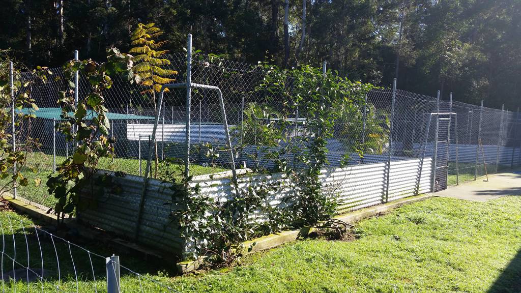 Dog Boarding Kennels Moonee Beach NSW Suburb Australia