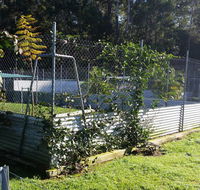 TLC Pet Care Coffs Harbour - Suburb Australia
