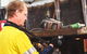 INDT Pty Ltd - thumb 0