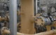 INDT Pty Ltd - thumb 3