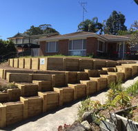 Diamond Diggers  Landscapes - Suburb Australia