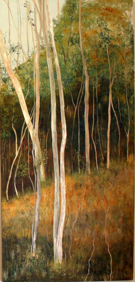 Robertson NSW Suburb Australia