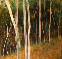 Light Horse Gallery - Suburb Australia