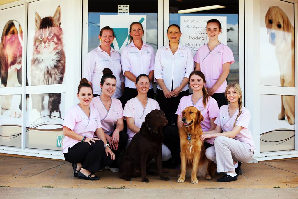 Vets Emerald QLD Suburb Australia