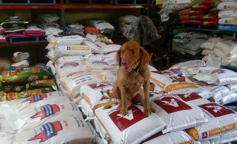 Country Wide Rural Merchants - Suburb Australia 2