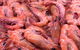 Taree Fishermen’s Co–Operative Society Ltd - thumb 1