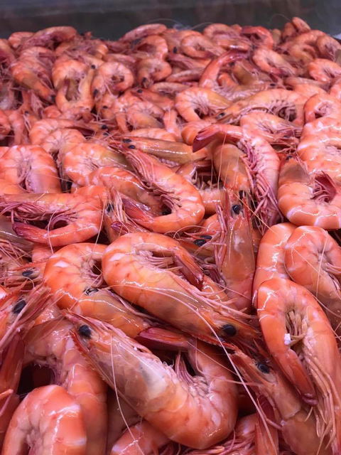 Taree Fishermen’s Co–Operative Society Ltd - Suburb Australia 1
