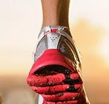 Jetts Fitness Bundaberg - Suburb Australia