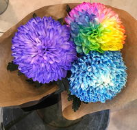 Flower Hunt - Suburb Australia