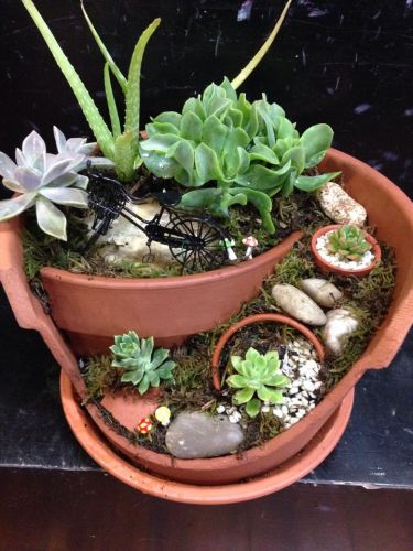 M’s Enchanted Flowers - Suburb Australia 4
