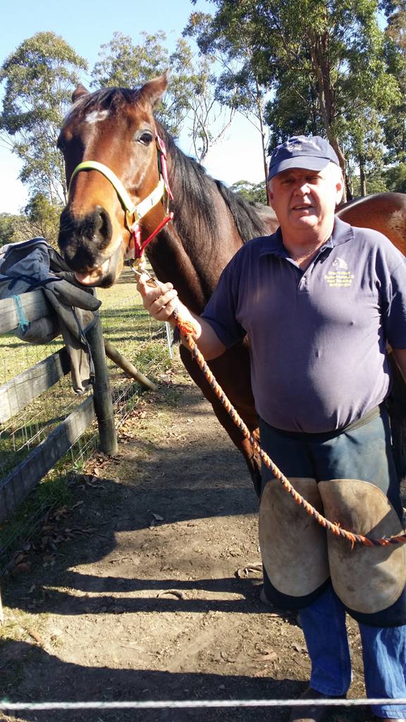 Horse Dentists Kundabung ACT Suburb Australia