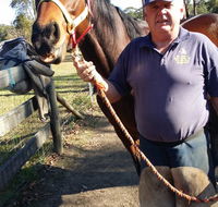 Brian S Grant Horse Dentistry  Farrier Service - Suburb Australia