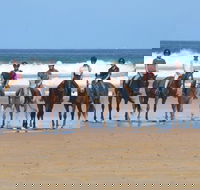 Causeway Equestrian - Suburb Australia