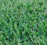 Pialba Turf Supplies - Suburb Australia