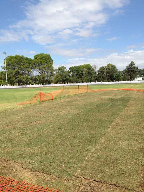 Orana Turf - Suburb Australia 0