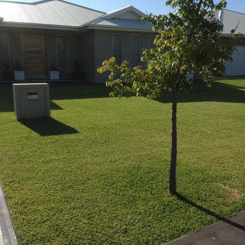 Orana Turf - Suburb Australia 2