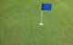 Bay Turf - thumb 1