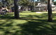 Bay Turf - thumb 2