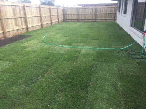 Bay Turf - Suburb Australia 4