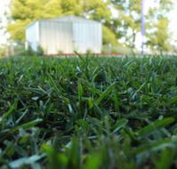 Sunset Turf - Suburb Australia