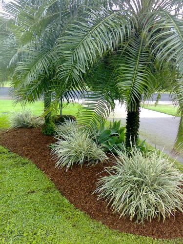 Building Maintenance Services Innisfail QLD Suburb Australia