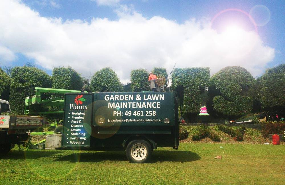 Lawnmowing Maintenance Cannon Valley QLD Suburb Australia