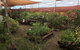 Barnyard Stockfeed, Pet And Garden Centre - thumb 1