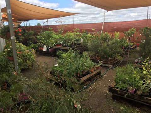 Barnyard Stockfeed, Pet And Garden Centre - Suburb Australia 1