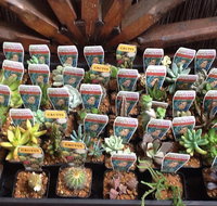 Jigsaw Garden Centre - Suburb Australia