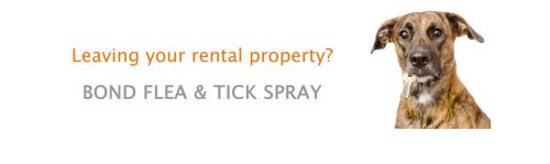 Pool Safety Inspections Townsville QLD Suburb Australia