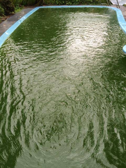 Car Wash Cleaning Detailing Coconut Grove NT Suburb Australia